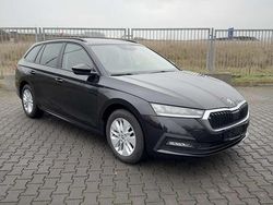 Schwarzmagic perleffekt Gebraucht 2022 Skoda Octavia Ambition Kombi | 19.900 € (Guter Preis)
