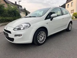 Weiß Gebraucht 2013 Fiat Punto Kleinwagen | 2.490 € (Fairer Preis)