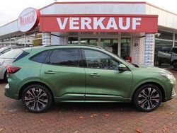 Bursting green Gebraucht 2024 Ford Kuga ST-Line X SUV | 38.990 € (Teuer)