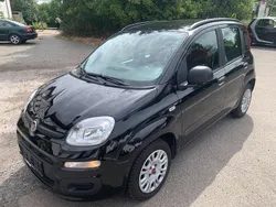 Schwarz Gebraucht 2014 Fiat Panda Easy Kleinwagen | 6.450 € (Fairer Preis)