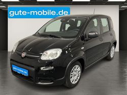 Schwarz Neu 2024 Fiat Panda Kleinwagen | 12.990 € (Guter Preis)