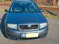Grau Gebraucht 2007 Skoda Fabia Kombi | 2.250 € (Fairer Preis)