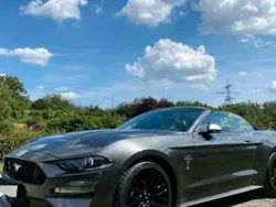 Grau Gebraucht 2020 Ford Mustang Cabrio | 49.999 € (Teuer)