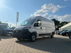 Weiss Neu 2024 Fiat Ducato Van | 36.990 € (Teuer)