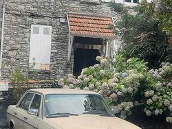 Beige Gebraucht 1982 Mercedes 240 Limousine | 7.500 €