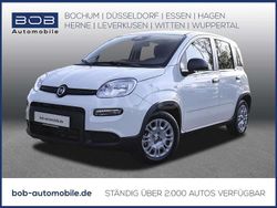Weiß Gebraucht 2024 Fiat Panda Classica Kleinwagen | 13.450 € (Fairer Preis)
