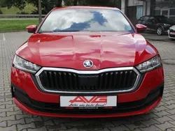 Velvetrot Gebraucht 2023 Skoda Octavia Ambition Limousine | 21.950 € (Superpreis)