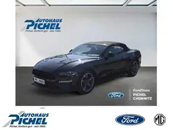 Grau Gebraucht 2023 Ford Mustang GT Convertible Cabrio | 52.985 € (Etwas zu teuer)