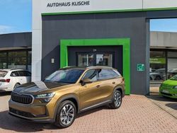 Gold Gebraucht 2025 Skoda Kodiaq SUV | 52.400 € (Etwas zu teuer)