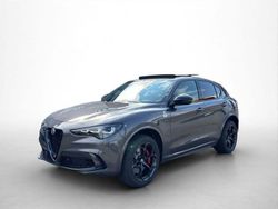 Grau Neu 2025 Alfa Romeo Stelvio Quadrifoglio Verde SUV | 98.990 € (Etwas zu teuer)