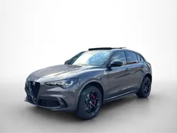 Grau Neu 2025 Alfa Romeo Stelvio Quadrifoglio Verde SUV | 98.990 €
