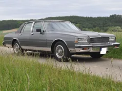 Grau Gebraucht 1989 Chevrolet Caprice Limousine | 14.000 €