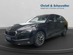 Blackmagic perleffekt Gebraucht 2024 Skoda Octavia Selection Kombi | 32.511 € (Etwas zu teuer)