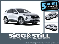 Frost weiß Neu 2025 Ford Kuga Titanium SUV | 33.980 € (Superpreis)