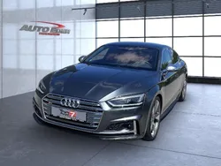 Grau Gebraucht 2019 Audi S5 Basis Limousine | 38.149 €