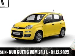Positano gelb Neu 2025 Fiat Panda S | 13.950 € (Guter Preis)