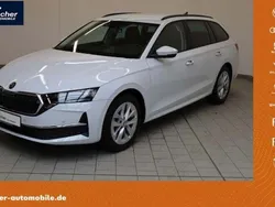Moonweiß metallic Gebraucht 2024 Skoda Octavia Selection Kombi | 30.340 € (Fairer Preis)