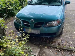 Blau Gebraucht 2003 Nissan Almera Kleinwagen | 3.499 € (Fairer Preis)