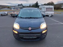 Blau Gebraucht 2013 Fiat Panda 4x4 Wild Kleinwagen | 3.800 € (Etwas zu teuer)