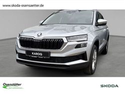 Silber Gebraucht 2024 Skoda Karoq Selection SUV | 36.990 € (Etwas zu teuer)