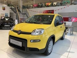 Gelb Gebraucht 2024 Fiat Panda Kleinwagen | 12.688 € (Fairer Preis)