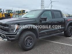 Neu 2024 Ford F-150 Raptor Abholung | 115.000 €