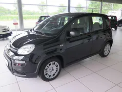 Cinema scharz Neu 2024 Fiat Panda Kleinwagen | 14.690 € (Fairer Preis)