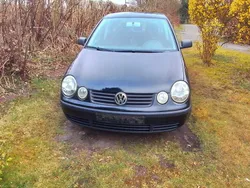 Schwarz Gebraucht 2004 VW Polo Kleinwagen | 1.490 € (Fairer Preis)