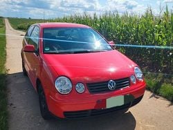 Rot Gebraucht 2004 VW Polo Cricket Limousine | 1.100 € (Guter Preis)