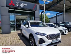 Weiß Neu 2024 Wey 03 Lux SUV | 51.990 € (Fairer Preis)