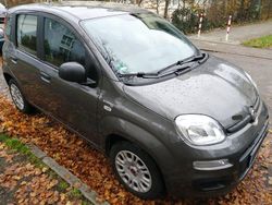 Grau Gebraucht 2021 Fiat Panda City Life Kleinwagen | 8.200 € (Guter Preis)