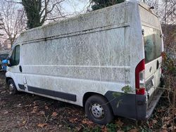 Weiß Gebraucht 2009 Fiat Ducato Van | 3.750 € (Fairer Preis)