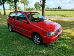 Rot Gebraucht 1999 VW Polo Kleinwagen | 1.650 €