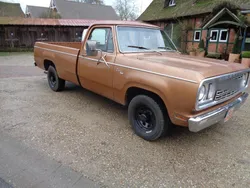 Braun Gebraucht 1977 Dodge D200 Abholung | 16.900 €