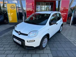 Weiß Neu 2024 Fiat Panda Kleinwagen | 14.990 €