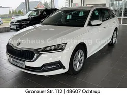 Weiß Gebraucht 2023 Skoda Octavia Style Kombi | 25.480 € (Fairer Preis)
