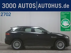 Narvik black Gebraucht 2019 Jaguar F-Pace Pure SUV | 16.580 € (Guter Preis)