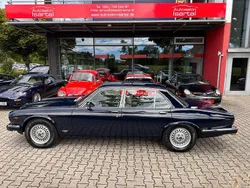 Purple ($2) Gebraucht 1993 Jaguar XJ12 S Limousine | 24.900 €