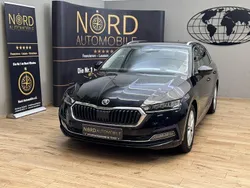 Schwarz Gebraucht 2022 Skoda Octavia | 18.689 € (Guter Preis)