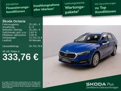 Energyblau Gebraucht 2023 Skoda Octavia Ambition Kombi | 25.140 € (Superpreis)