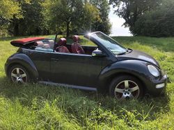 Grau Gebraucht 2005 VW Beetle Cabrio | 4.500 € (Etwas zu teuer)