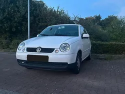 Weiß Gebraucht 2002 VW Lupo Kleinwagen | 1.400 € (Fairer Preis)