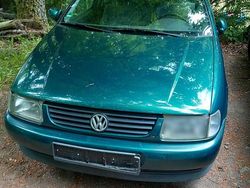 Grün Gebraucht 1996 VW Polo Kleinwagen | 1.399 € (Etwas zu teuer)