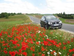 Schwarz metallic Gebraucht 2005 VW Polo Kleinwagen | 5.250 €
