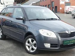 Grau Gebraucht 2008 Skoda Fabia Elegance Kombi | 6.990 € (Teuer)