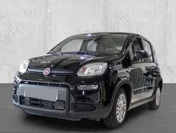Schwarz Neu 2025 Fiat Panda Kleinwagen | 20.180 €
