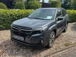Grau Neu 2025 Subaru Forester Platinum SUV | 46.490 € (Etwas zu teuer)