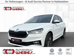 Weiß Gebraucht 2024 Skoda Fabia Selection Kleinwagen | 20.899 € (Fairer Preis)