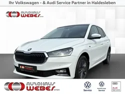 Weiß Gebraucht 2024 Skoda Fabia Selection Kleinwagen | 22.749 € (Fairer Preis)