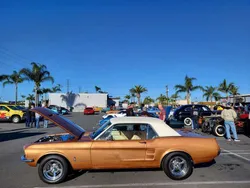 Burnt amber Gebraucht 1967 Ford Mustang Coupé | 26.900 €